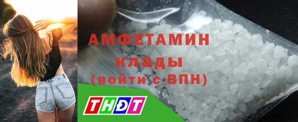 ECSTASY Ельня