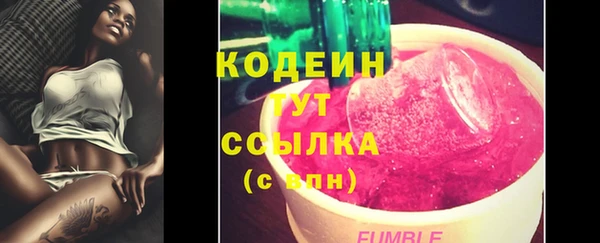 СК Елизово