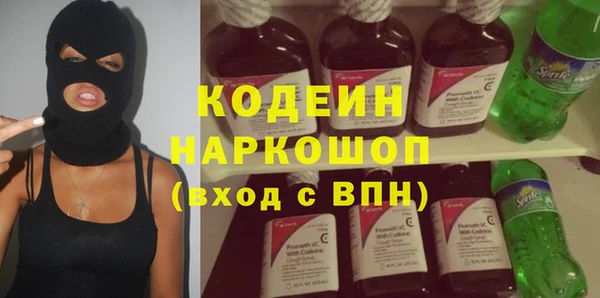 ECSTASY Ельня