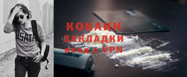 СК Елизово