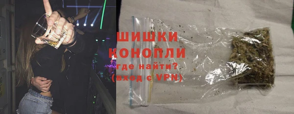 СК Елизово