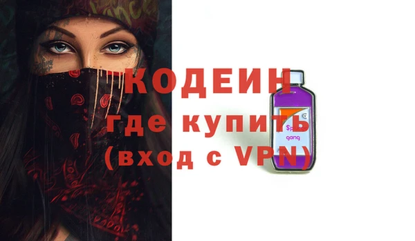 ECSTASY Ельня