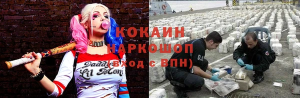 ECSTASY Ельня