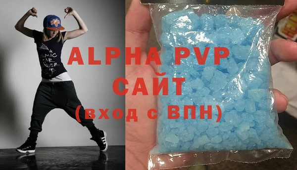 СК Елизово
