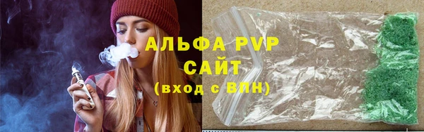СК Елизово