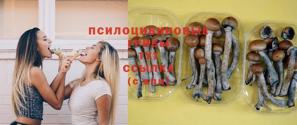 ECSTASY Ельня